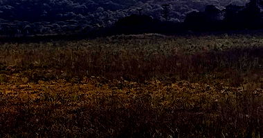 Terreno Rural com 74.282,70m² em Irati/PR