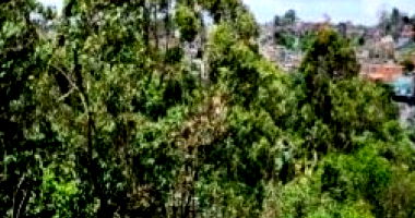 Terreno Lote B1 em Fazenda Belém e Cachoeira - 8.516m²