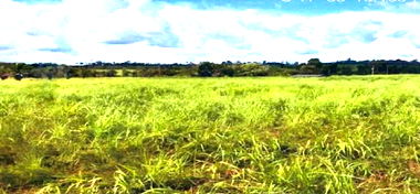 Imóvel Rural de 85,34 Hectares em Novo Horizonte do Oeste-RO