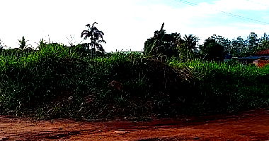 Terreno amplo de 994m² com potencial para desenvolvimento