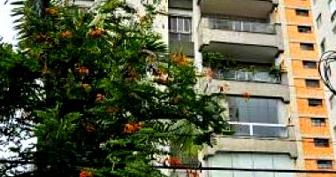 Apartamento com 182,06m² em Indianópolis, São Paulo