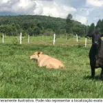 Área de terras desmembradas do Fazenda Boa Vista, Itaperuna