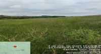 Lote Rural de Cultura com 7,64ha em Jaboticaba/RS