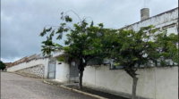 Prédio Comercial com 1.608m² de Terreno em Pesqueira/PE
