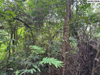 Terreno com 5.010,88m² em Cotia/SP