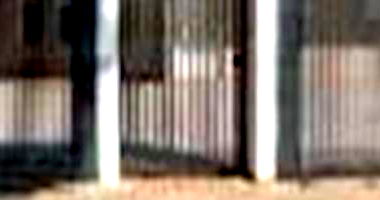 Casa em Condomínio Ocupada com 2 Quartos e 1 Vaga em Foz do Iguaçu/PR