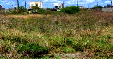 Terreno desocupado em Loteamento Vivari com 140m²