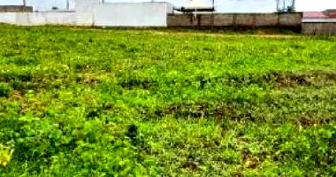 Terreno urbano 1.470m² em Campo Redondo/RN
