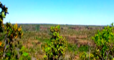 Terreno rural em Campos Lindos, 133 hectares, ocupado