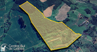 Fazenda 12,1ha com Casa e Pocilgas em Ipuaçu/SC