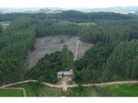 Chácara com 8,03 hectares, ideal para investimento rural