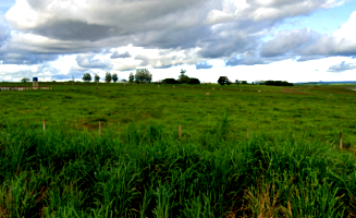 Fazenda c/ 381,35 hectares em Paranatinga/MT