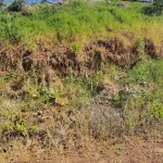 Lote Urbano n. 04 com 375 m² em Palmitinho - RS