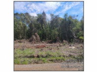 Terreno Urbano com 4725m² em Arvorezinha/RS