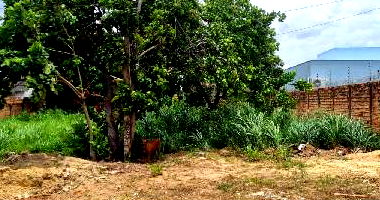 Terreno amplo com 384m², ideal para construção