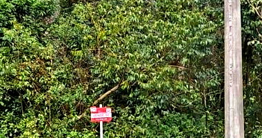 Terreno com 775,24m² em Nova Petrópolis