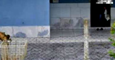 Casa com 150m² de terreno em Sapiranga/RS