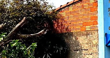 Casa Comercial e Residencial com 3 Quartos em Foz do Iguaçu