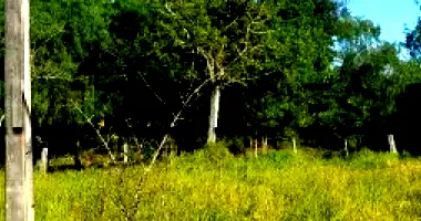 Terreno Amplo com 2.236,91 m² em Parque Residencial Alto Boa Vista