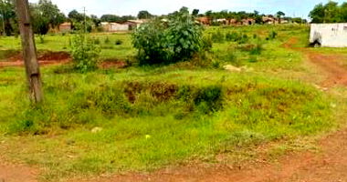 Ampla Área Industrial com 7.138m² de Construção em Jataizinho/PR