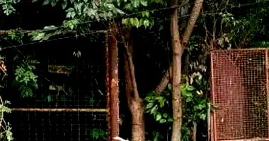 Terreno Amplo em Leilão