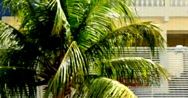 Casa com 252m² de terreno e 223,92m² construída, imóvel ocupado