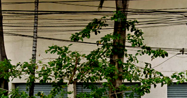 Galpão Comercial Desocupado 750m² Construídos com Terreno 349m²