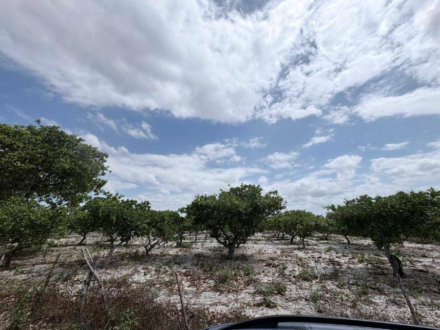 Terreno com 6.600m² em Pacajus/CE