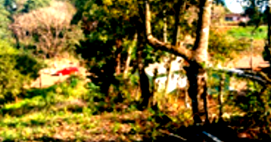 Terreno em Maximiliano de Almeida - RS