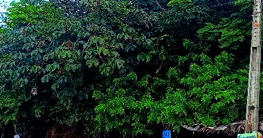 Terreno Desocupado com Vista para a Praia em Nísia Floresta
