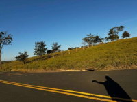 Lote em Engenheiro Coelho - 300.96 m²