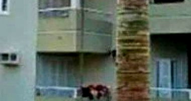 Casa Ocupada com 317 m² em Jardim Maluche, Brusque - SC