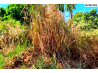 Terreno de 360 m² em Tocantinópolis - Oportunidade Única!