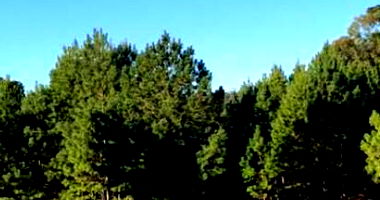 Área rural extensa de 1.300 hectares para cultivo e faxinais