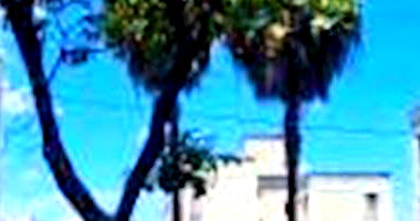 Apartamento padrão com 2 quartos, 1 banheiro e 1 vaga, ocupado