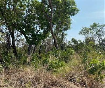 Fazenda Santa Maria Rural com 508,96 ha, Ocupada