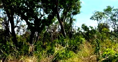 Fazenda Santa Maria Rural com 508,96 ha, Ocupada
