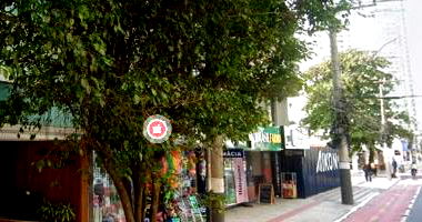 Apartamento 803 com 268.83m², fração ideal, desocupado