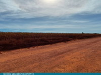 Sítio São Pedro - 81 ha de terra rural com potencial agrícola