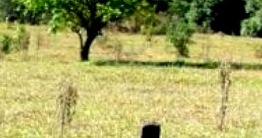 Área Rural Desocupada 4.512 m² com vocação comercial