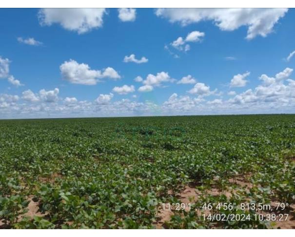 Fazenda Dom Laurindo IV-B Lotes 02, 03, 05 e Lote 17