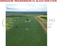 Terreno Rural de 100 Ha em Nova Roma/GO - Oportunidade Única!