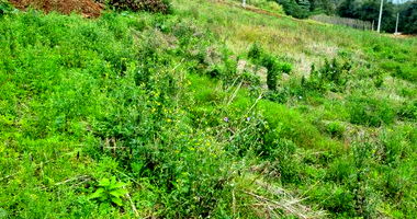 Terreno Urbano em Saudades/SC com 480,31m²