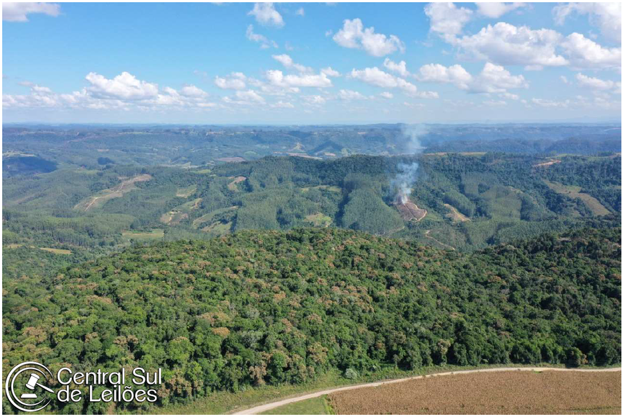Terreno rural amplo com 293.000m², sem benfeitorias, área pouco íngreme