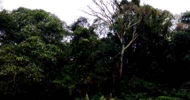 Terreno com 2.400m² em Estação Cocal