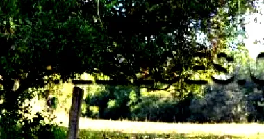 Ampla Área de 7.383,86 m² em Bairro Caju