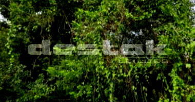 Terreno de 300m² em Cananéia/SP