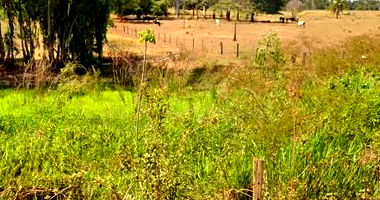 Área de Terras com 23,595 Hectares e Quatro Casas
