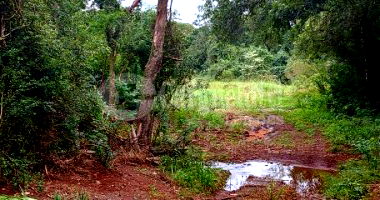 Fração rural de 3.475,61m² para agricultura e pastagens