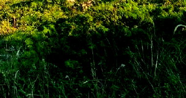 Terreno em Loteamento Vivari com 140m² - Ocupado